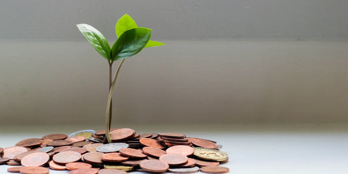 Progressive Cashback Structure